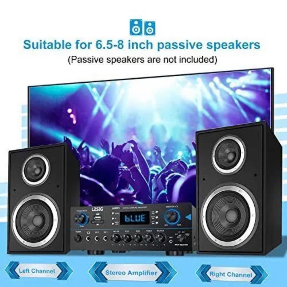 LZSIG New Karaoke amplifier